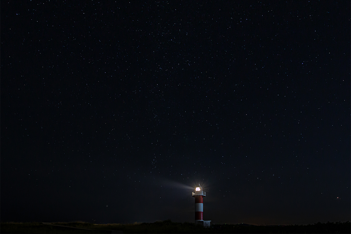 概要・入会案内